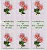 pinkrosesbookmark.gif (200129 bytes)